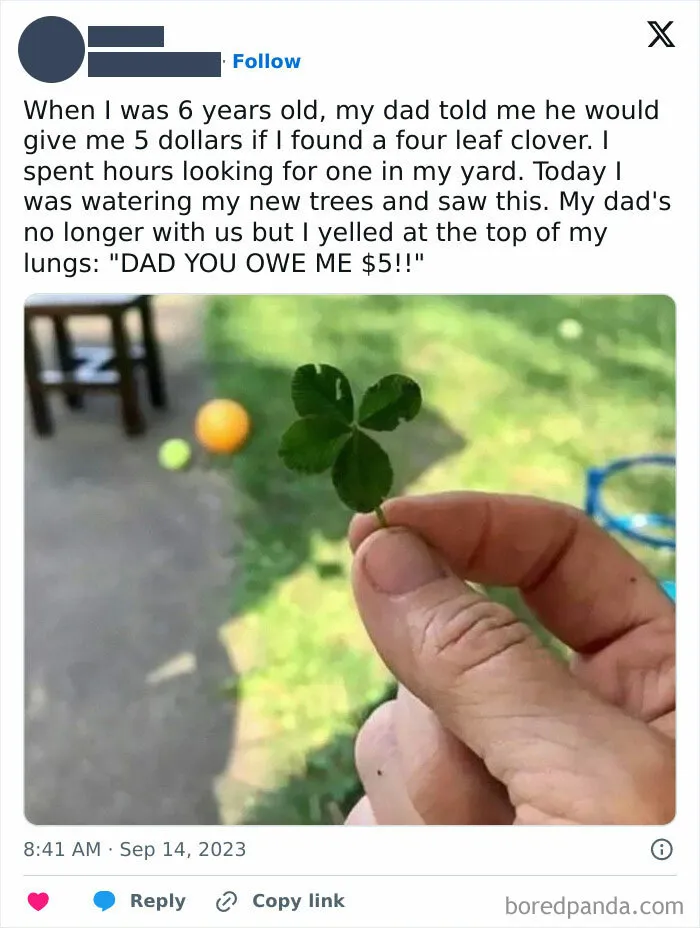 This Is So Wholesome