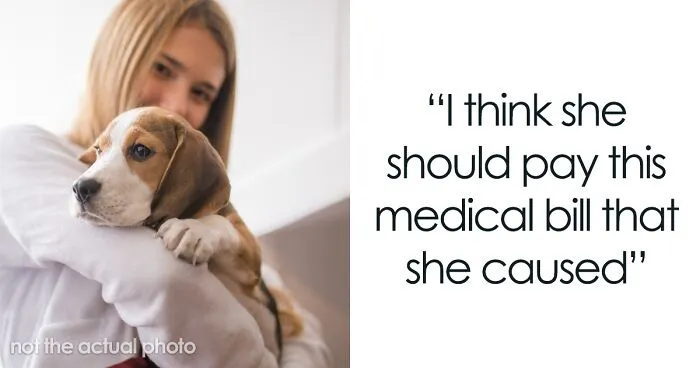 Woman Gets $800 Vet Bill After Her Dog Eats Roommate's Food, Wonders Who's To Blame