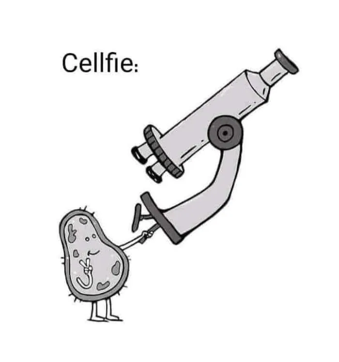 Wonderful-Engineering-Funny-Memes