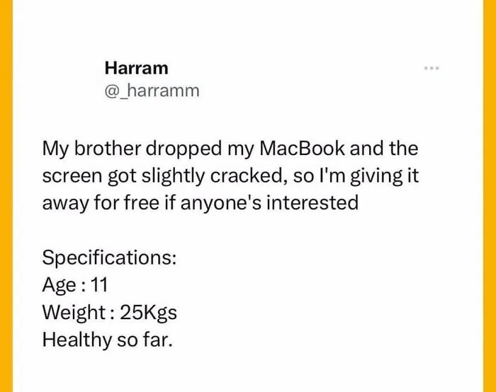Hilarious engineering meme showing a joke about a cracked MacBook and the specs of a brother who dropped it.