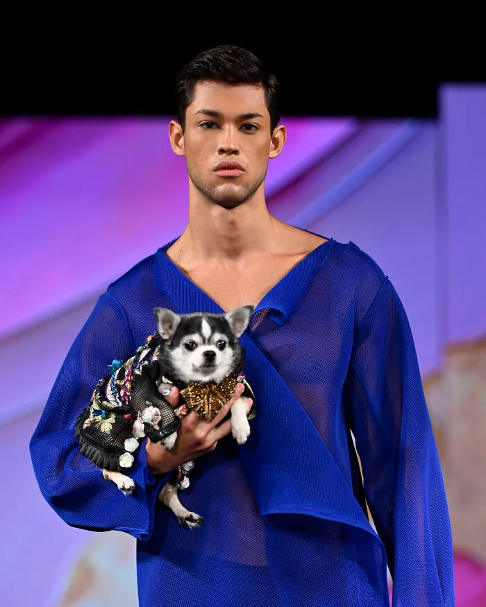 Anthony Rubio Nyfw: Jay With Bogie