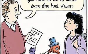 50 Silly And Funny "Bizarro" Comics About Absurd Situations (New Pics)