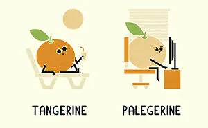A Playful Twist Of Words: My Series Of 30 Punny Illustrations And Their Quirky Opposites