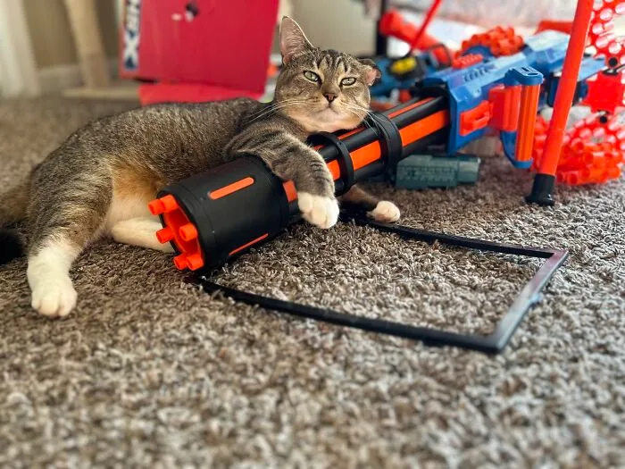 Nerf Gun Bella… Taking Up Modeling. ‘Merica!