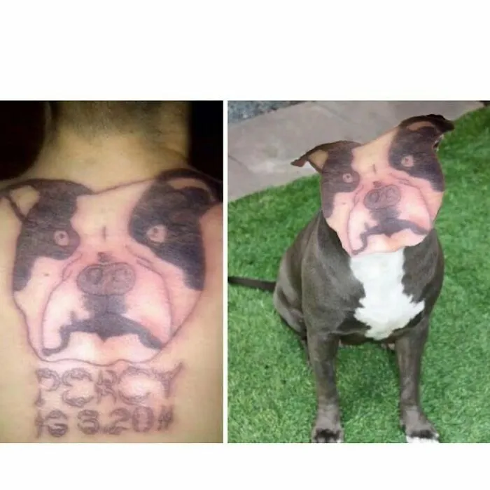 30 Personas que no se dan cuenta de lo horribles que son sus tatuajes (nuevas imágenes)