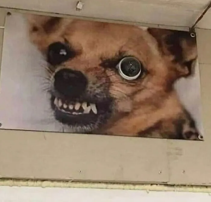 ‘Ugly Design’ Instagram Is Full Of Pics To Make You Laugh And Cringe And Here’s 50 Of The Best (New Pics)