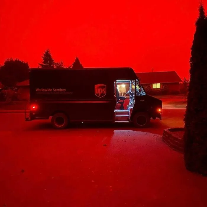 What Did You Order?