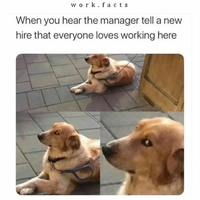 50 Funny Memes To Help You Get Through The Work Day
