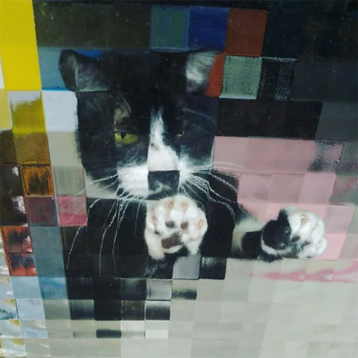 21 Funny Photos Of “Low-Resolution” Cats Behind Pixelated Glass Doors