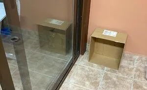 24 Cats Who Challenged The Laws Of Physics, And Won