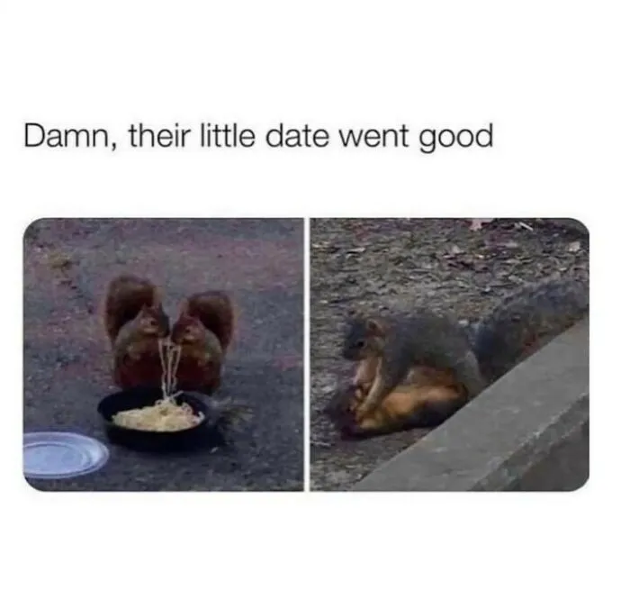This Instagram Account Sums Up What Women Struggle With In 50 Painfully Relatable Memes