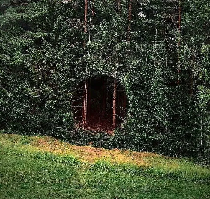 “Only One Cig Per Kid”: 45 Of The Weirdest Pictures Seen On ‘Cursed Aesthetic’ (New Pics)
