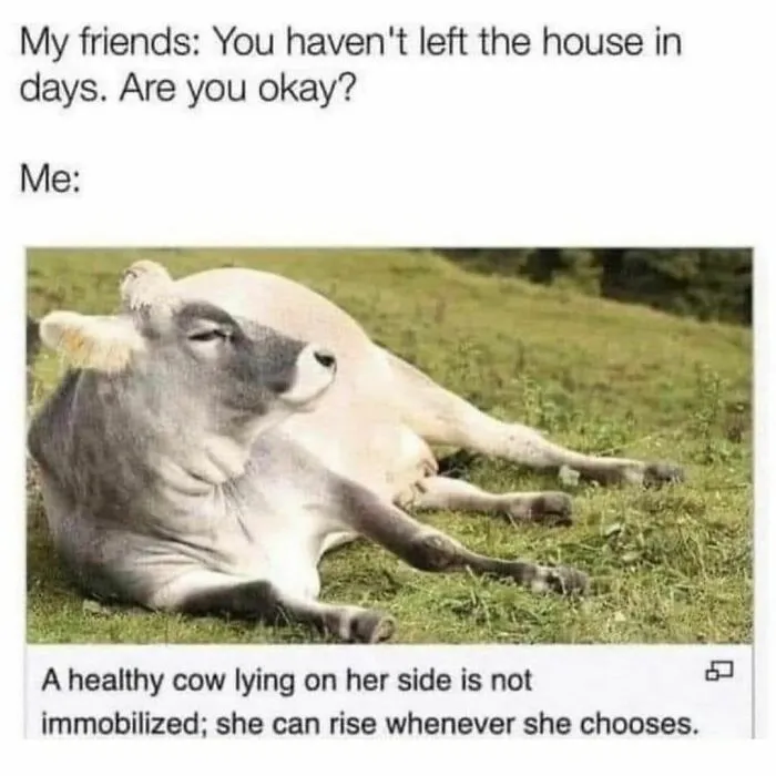 "My Therapist Says": 50 Relatable Memes From The Legendary Instagram Account (New Pics)