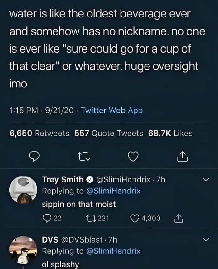 Text screenshot about water's lack of a nickname, a funny meme for pun enthusiasts.