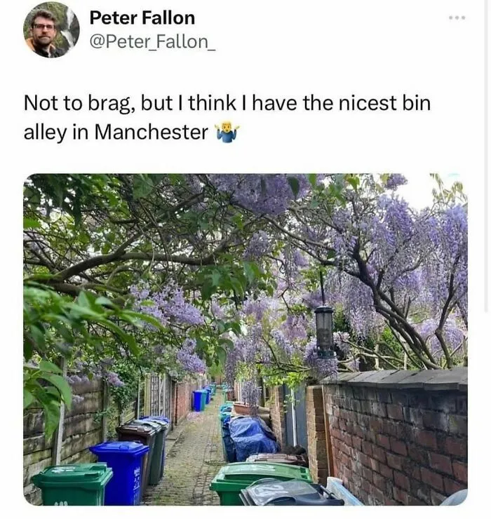 50 Of The Most ‘British Memes’ To Transport You To The Land Of Tea And Crumpets
