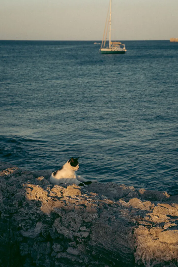 I Visited The Greek Island Of Rhodes And I Would Like To Share My 27 Photos Of This Amazing Place