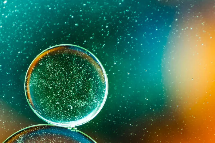 The Art Of Microscopic Photography