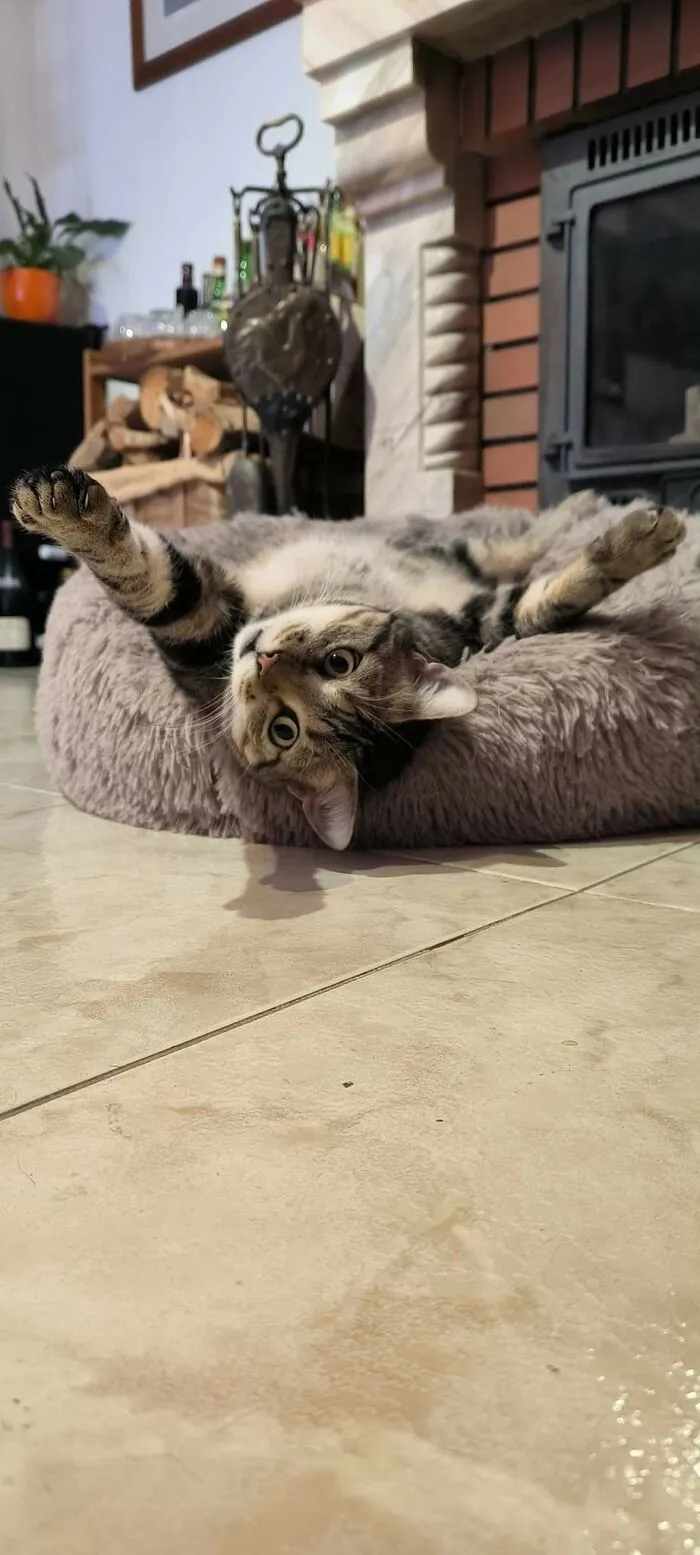 Hi To Lazy Pandas... From Jonas