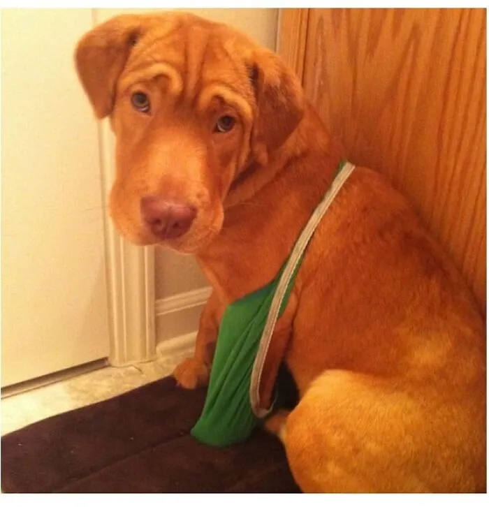 Oh, Are These Your Panties? I Thought They Were Mine