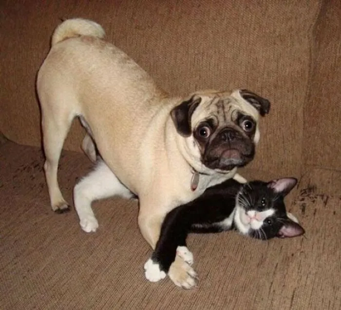 We’re Just, Um, Hugging. Yes, Hugging