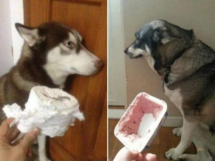 I’ve Never Seen Either Of Those Things Before In My Life