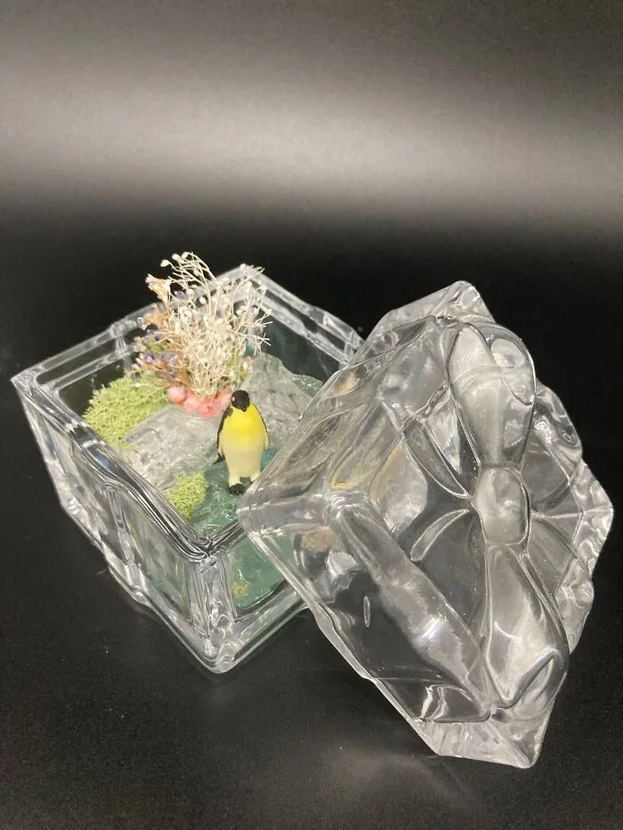 I Make Mini Worlds Out Of Real Flowers And Mosses (22 Pics)