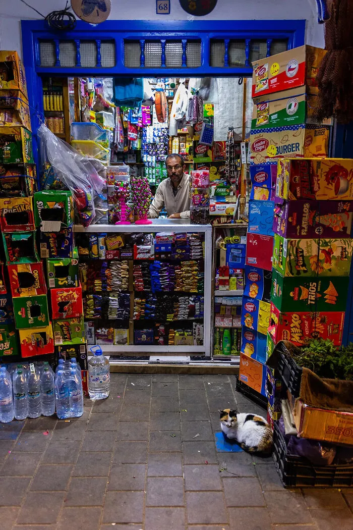 I Photographed Stray Cats Hours Before An Earthquake In Morocco, And Here’s The Result (40 Pics)