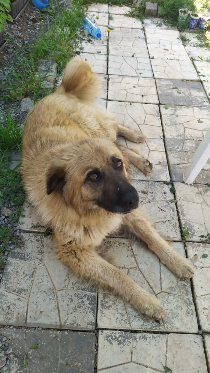 This Is Julturka
