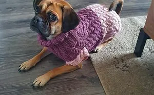 Hey Pandas, Post Some Cool Things You've Crocheted Or Knitted