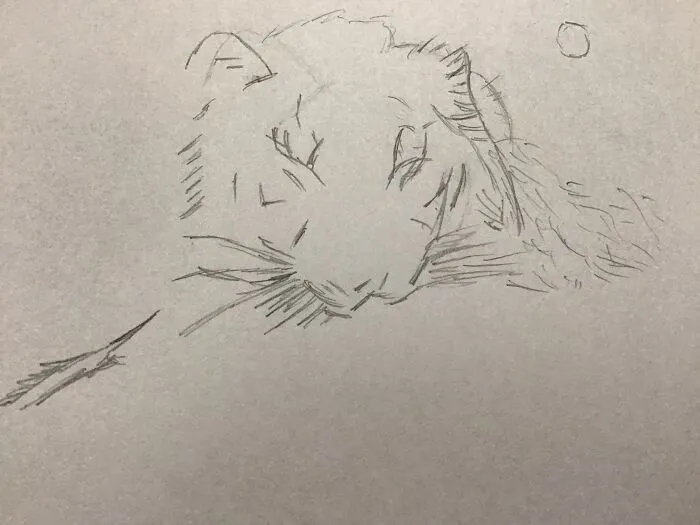 Not Especially Proud Of It, But Here It Is