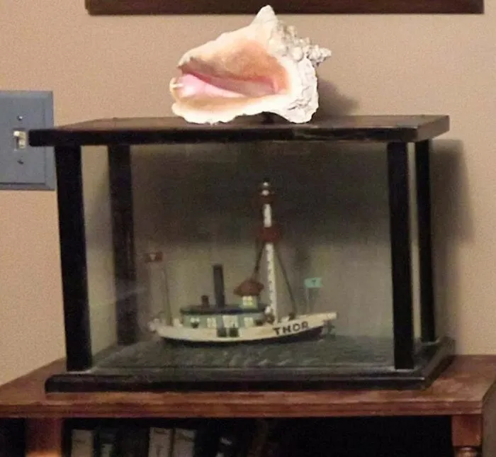 My Great-Grandfather Built This Over 100 Years Ago (The Ship, Not The Shell)