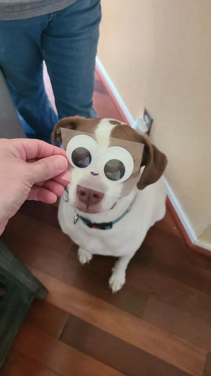 My Sweet Silly Boy