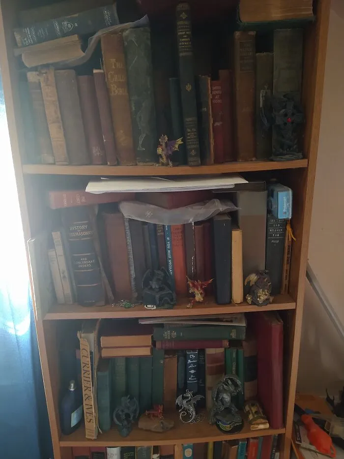 Meet The Dragons That Guard My Antique Book Collection.  I Call Them My Book Wyrms
