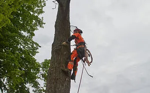 Rope Access Is My Daily Job, I Often Take A Camera With Me To Work, Here's What I Captured (21 Pics)