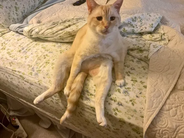 Just Hanging Out