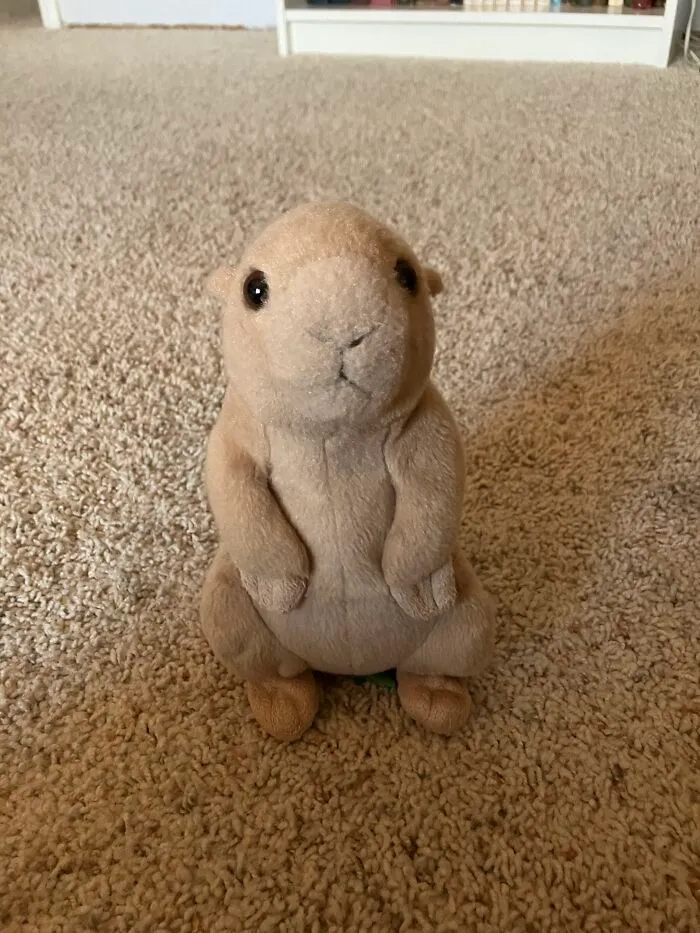 Say Hi To Fred :)