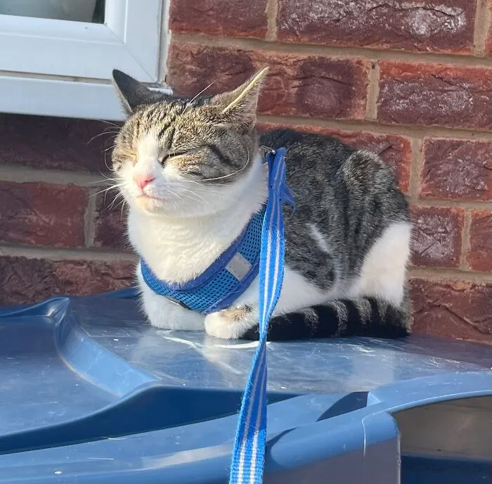 On My Bin