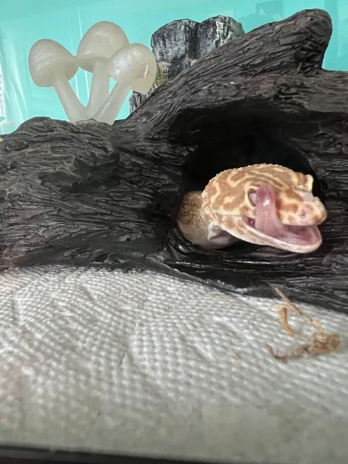 Noodles!