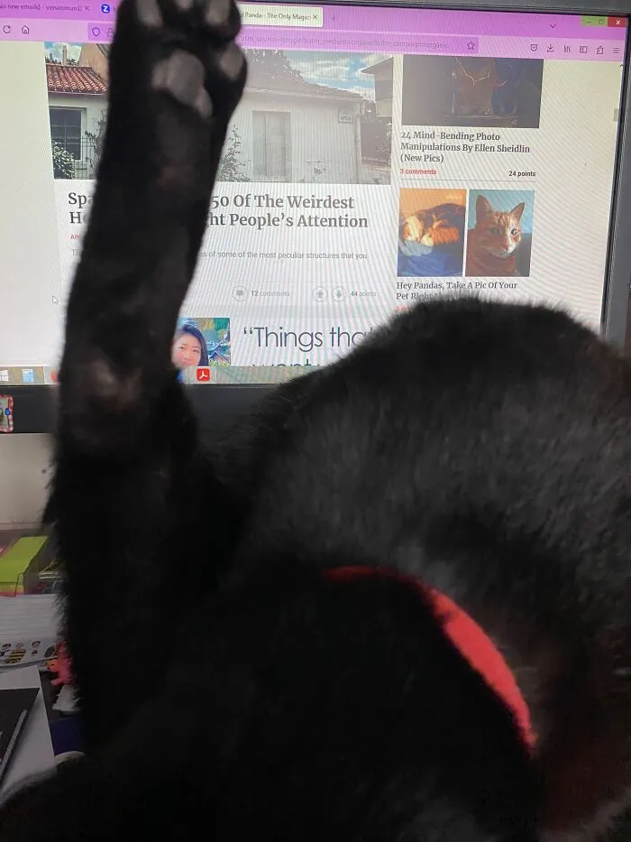 Hades Taking A Bath With The Bored Panda Post Behind