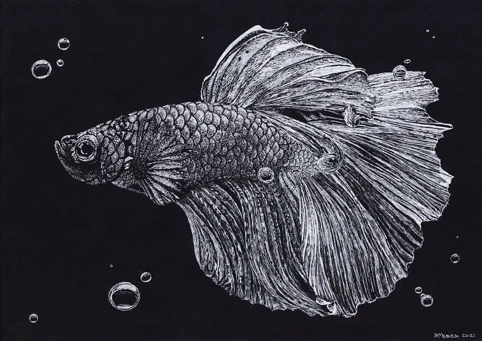 My Daughter Got Me A Black Sketchbook A Couple Of Years Ago, Here Are 30 New White Dot Drawings That I Made
