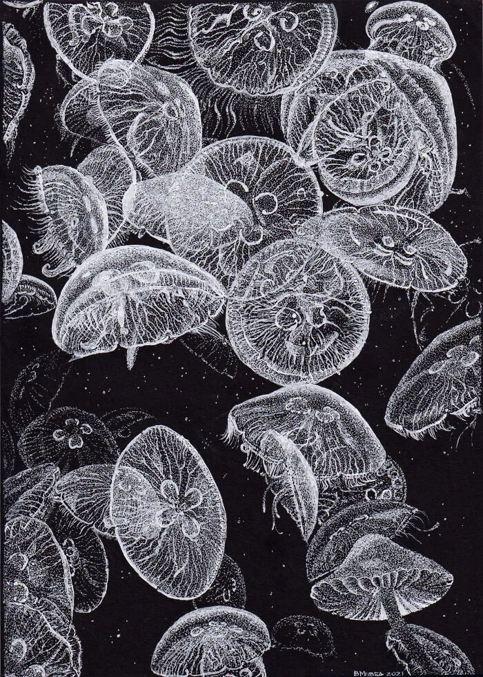 My Daughter Got Me A Black Sketchbook A Couple Of Years Ago, Here Are 30 New White Dot Drawings That I Made