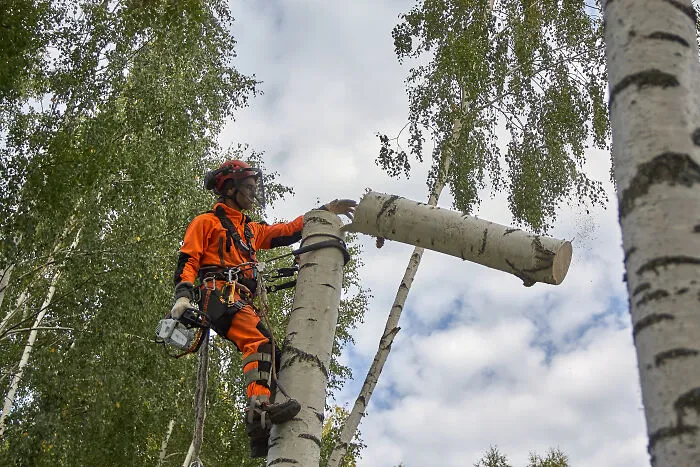 Rope Access Is My Daily Job, I Often Take A Camera With Me To Work, Here's What I Captured (21 Pics)