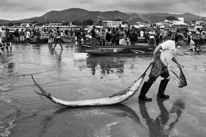Prize Catch By Jef Pattyn, Ecuador, Highly Commended, Oceans: The Bigger Picture