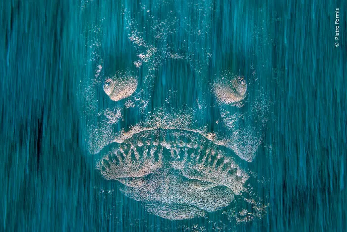 Death In Waiting By Pietro Formis, Croatia, Highly Commended, Animal Portraits