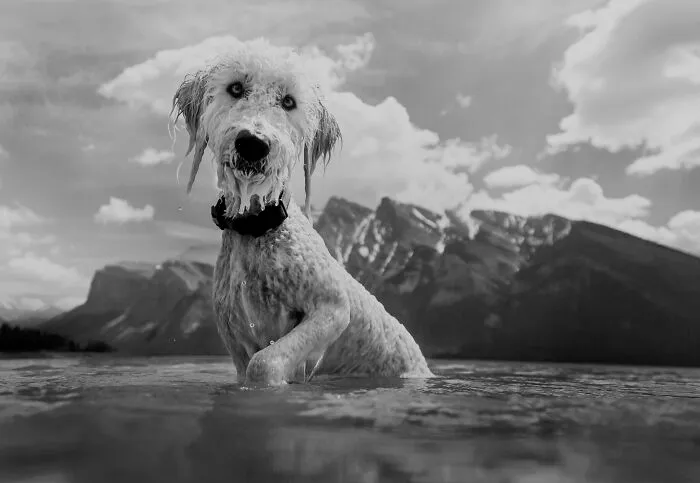 Cloud The Doodle