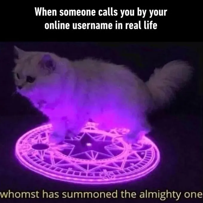 Post Your Favorite Meme!