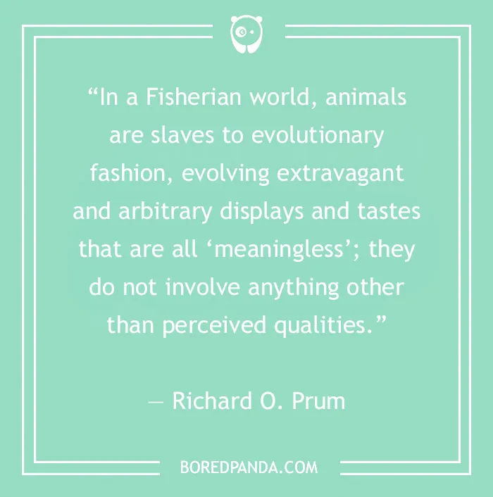 132  Inspiring Aesthetic Quotes For A Daily Dose Of Inspiration