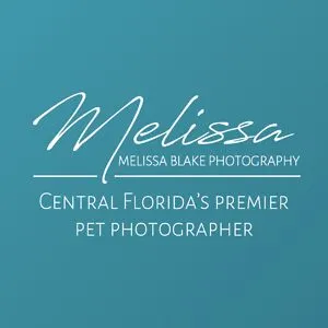Melissa Blake Photography