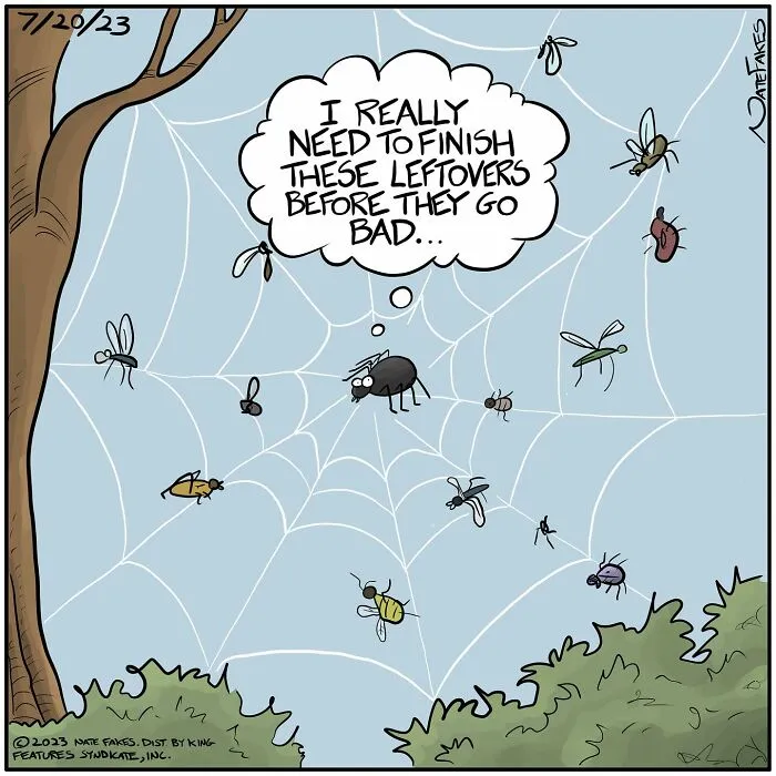 Spider and flies
