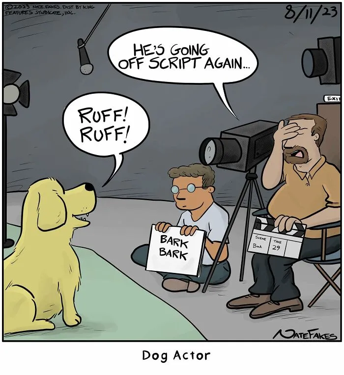 Barking dog